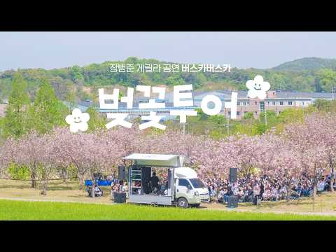 내년의 벚꽃도 함께 | 버스카버스카 벚꽃투어 돌아보기