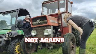 A FRUSTRATING DAY ON THE FARM