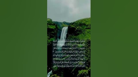 راحة نفسية 🌴🌴حالات واتس اب قرآن كريم بصوت جميل جدا Quran Status ⚘️ ♥️