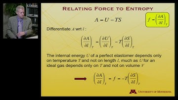 Video 8.5 - Rubber Band Thermodynamics - Statistical Molecular Thermodynamics