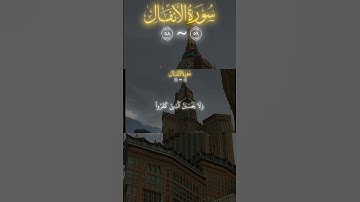 تلاوة خاشعة : ياسر الدوسري 😌🤍 #اكسبلور_explore #اكسبلور #قران_كريم #لايك #المصحف #الرحمن