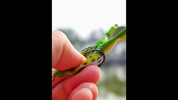 Mồi câu cá lóc,nhái hơi Prop frog có chân vịt xoáy nước #fishing #automobile #fishingvideo #woodfin