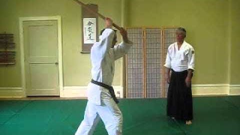 Kamae with Bokken - AAA 5th Kyu Ki Test and Exercise
