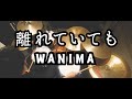 離れていても | WANIMA ドラム 叩きました