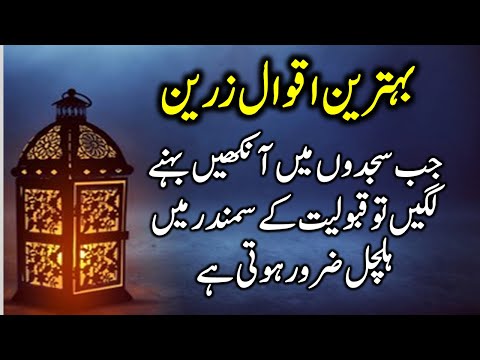 بہت ہی خوبصورت اقوال زرین        