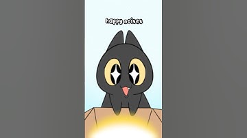 What’s wrong with my cat? 😭🐱  #shorts