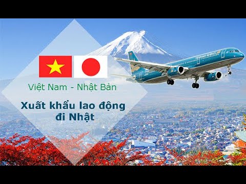Review 8 Công ty xuất khẩu lao động tại Tỉnh Đồng Tháp (Tiền Giang) đáng tin cậy Review 8 Công ty xuất khẩu lao động tại Tỉnh Đồng Tháp (Tiền Giang) đáng tin cậy