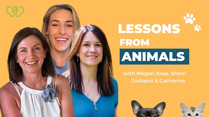 Megan Rose,  Sherri Divband & Catherine Edwards: W...