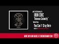 Iron Chic - Ruinous Calamity (Official Audio)