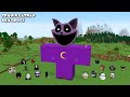 SURVIVAL SPAWN CATNAP HOUSE (Poppy Playtime) WITH 100 NEXTBOTS in Minecraft! Gameplay - Coffin Meme!