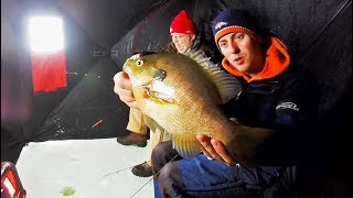 MASSIVE Bluegill Fishing! They Are Huge! screenshot 5