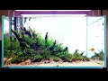 River stream  new 90cm home tank  step by step and two weeks later