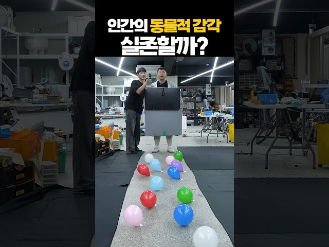 인간의 눈을 가리면 벌어지는 일