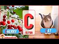 Letter C | Animal Encyclopedia | ABC Animals for Kids, Homeschooling