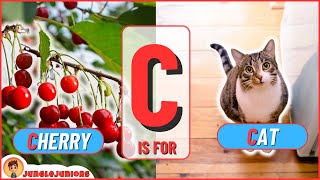 Letter C Animal Encyclopedia Abc Animals For Kids, Homeschooling