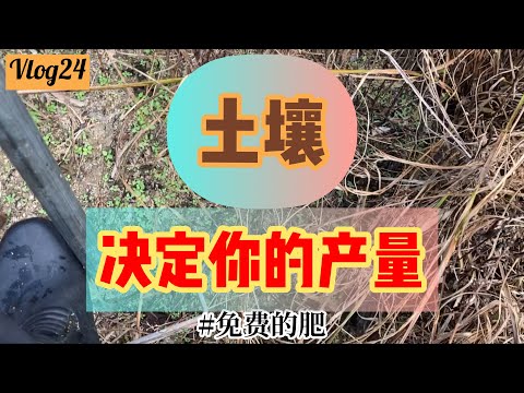 [vlog24] PART2 土壤很重要！！！记录与观察土壤的结构 它决定你园的产量 也决定你看到土壤的意义