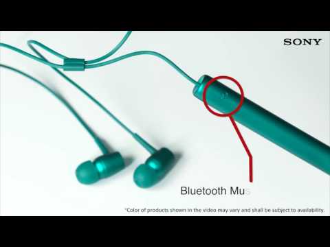 Sony MDR-XB750BT Extra Bass Wireless headphones.