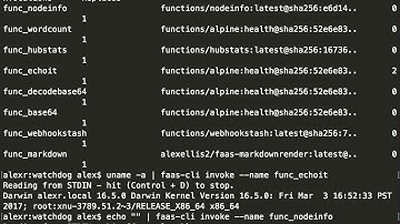 OpenFaaS CLI gains list and invoke commands!