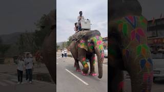 🌎 24 Hours in Jaipur with Monica Vaswani | A Day in the Stay