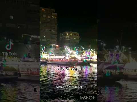 انا أبيض ابن حلال شبعان على الطبلية حالة واتس 29 ثانية تحفة روعة وهمية