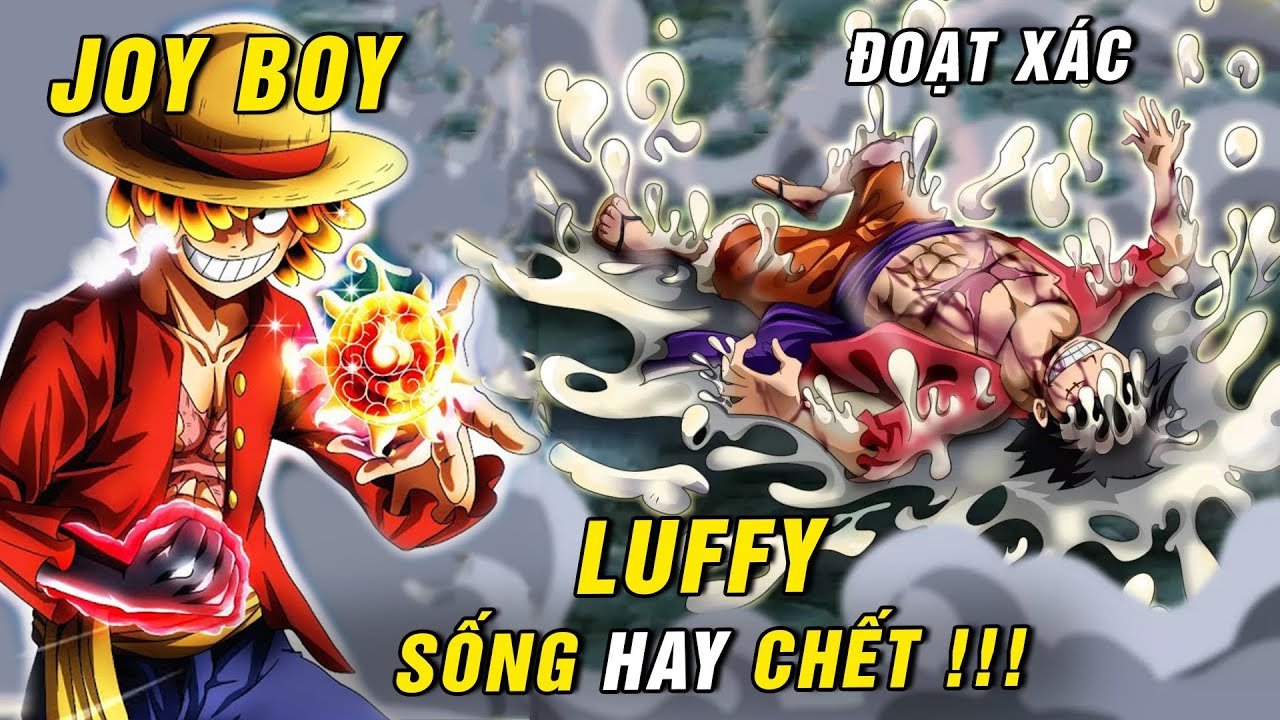 Mô Hình Nhân Vật Nika Gear 5 Luffy Joy Boy Trong One Piece Bằng PVC 2022New  20cm  Shopee Việt Nam