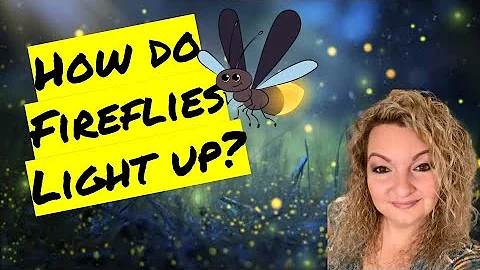 How Do Fireflies Light Up? |The Science Behind Bioluminescence | Why Do Lightning Bugs Light Up?