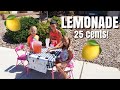 ❄ICE COLD LEMONADE ON A BLAZING HOT SUMMER DAY! 🔥 / How Long Do The Kids Last Selling Lemonade??