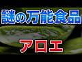 ゆっくり毒物vol.133 アロエ【ゆっくり解説】