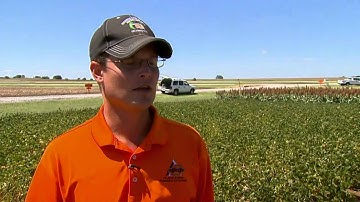 Soil Moisture Differences in No-Till Crops