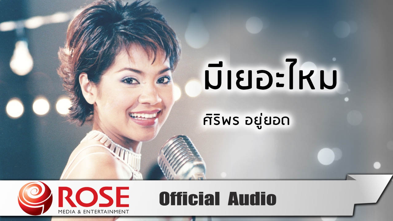 ปกเพลง มีเยอะไหม (Audio) — TUCK SIRIPORN
