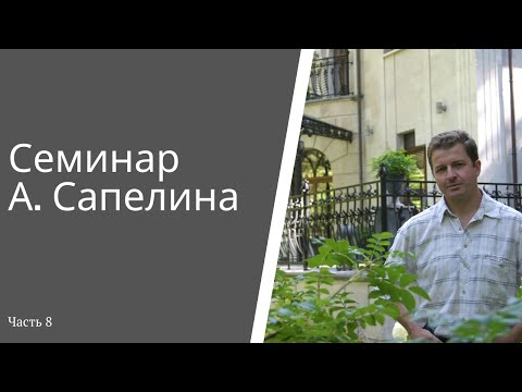Семинар А. Сапелина