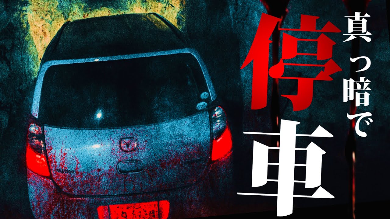 緊迫感MAX！トンネルでエンジンをきったら足音が近づいてきて慌てて窓を閉めきった