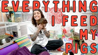 My Guinea Pigs Food : Everything They Eat