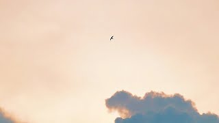 Download Lagu Linkin Park - Friendly Fire (𝐒𝐥𝐨𝐰𝐞𝐝+𝐑𝐞𝐯𝐞𝐫𝐛) MP3