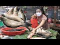 Market show, The first time I see this kind of fish on the market / Yummy steamed fish cooking