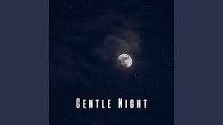 Mellow Sleep Vibes