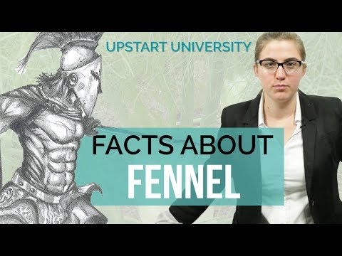 Facts You Didn&rsquo;t Know About Fennel