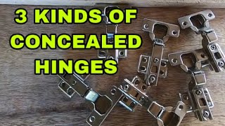 3 KINDS OF CONCEALED HINGES