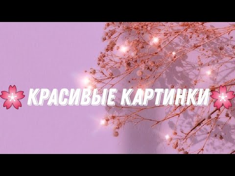 Красивые Картинки Для Телефона На Обои