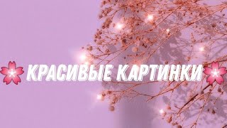 🌼Красивые картинки для телефона на обои🌼