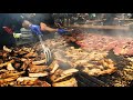 Street Food of Italy. Roasted Pork, Burgers, Beef Steaks, Smoked Pork, Cheese, Sausages