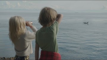 Real Estate Music Video - The Whiskey Wasps “When I Was Younger - Tim Allen Properties