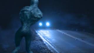 Strange Grey Creature Reported in Ohio USA