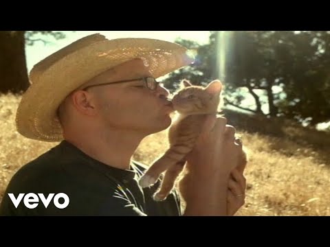 Weezer - Island In The Sun (Spike Jonze Version)