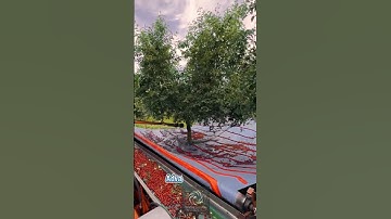 Automated Fruit Harvester: Advanced Shaking Technology for Faster Harvesting