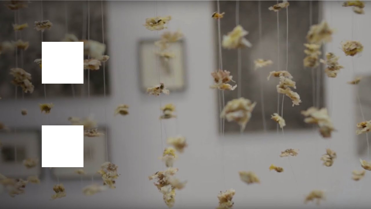 Media School | Postgraduate Shows 2018