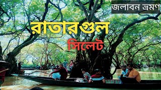 Ratargul sylhet | Ratargul swamp forest | রাতারগুল সিলেট | রাতারগুল জলাবন | সিলেট ভ্রমণ