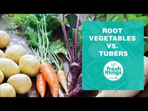 Видео: Root crop - энэ юу вэ? Үндэс үр тариа хадгалах