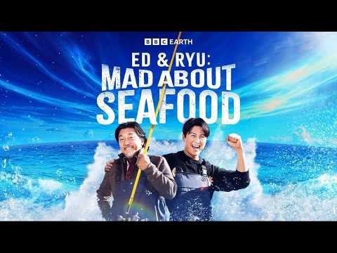 Ed and Ryu: Mad About Seafood | New Series | BBC Player
