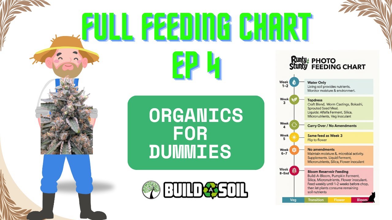 Full Feeding Chart - [Organics For Dummies Season 1] (EP 4) - YouTube